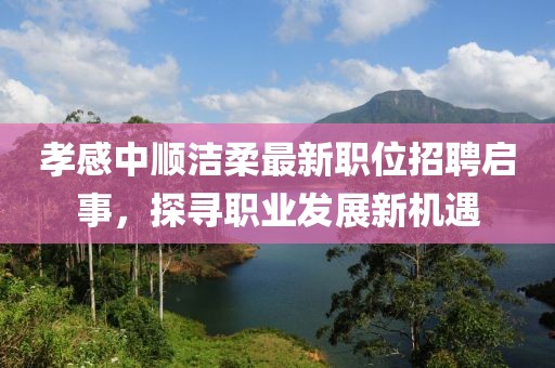 孝感中順潔柔最新職位招聘啟事，探尋職業(yè)發(fā)展新機(jī)遇