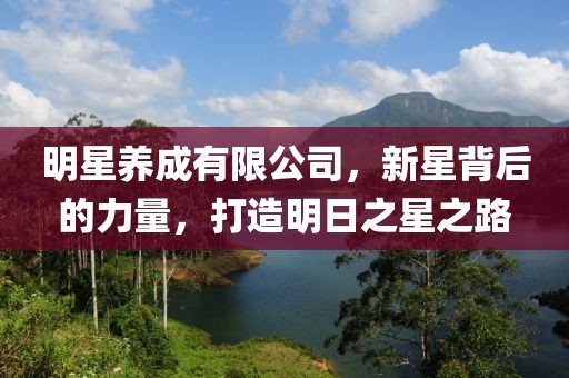 明星養(yǎng)成有限公司，新星背后的力量，打造明日之星之路