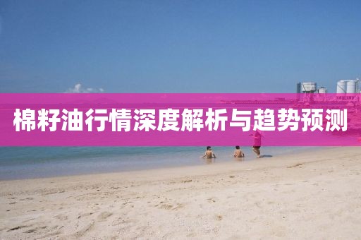 棉籽油行情深度解析與趨勢預(yù)測