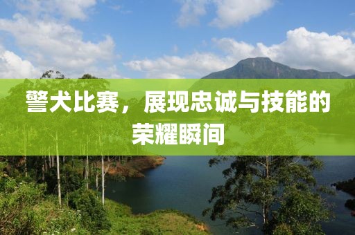 警犬比賽，展現(xiàn)忠誠與技能的榮耀瞬間