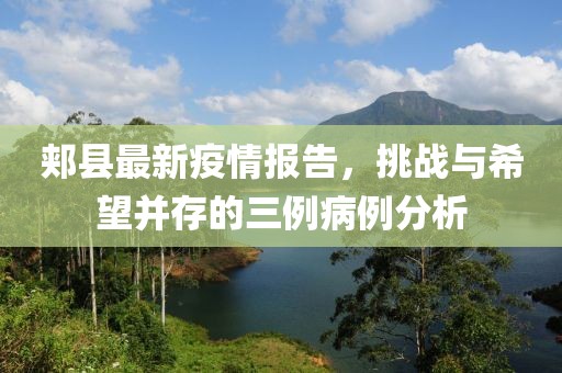 郟縣最新疫情報告，挑戰(zhàn)與希望并存的三例病例分析