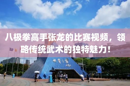 八極拳高手張龍的比賽視頻，領(lǐng)略傳統(tǒng)武術(shù)的獨(dú)特魅力！