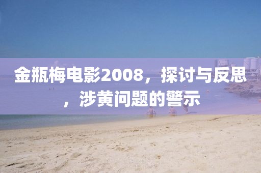 金瓶梅電影2008，探討與反思，涉黃問題的警示