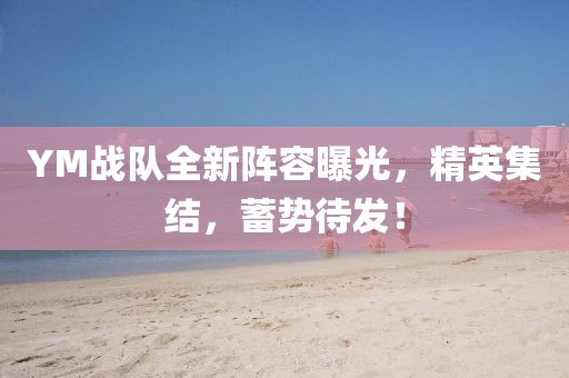 YM戰(zhàn)隊(duì)全新陣容曝光，精英集結(jié)，蓄勢待發(fā)！