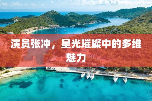 演員張沖，星光璀璨中的多維魅力