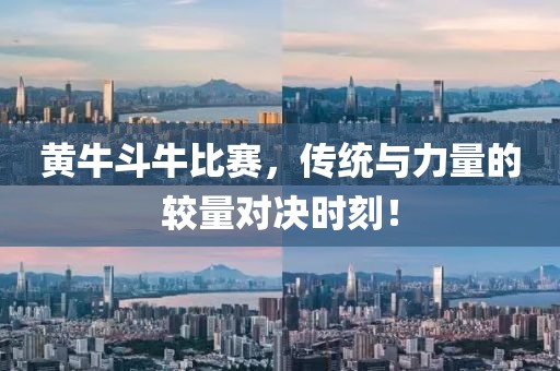 黃牛斗牛比賽，傳統(tǒng)與力量的較量對決時刻！