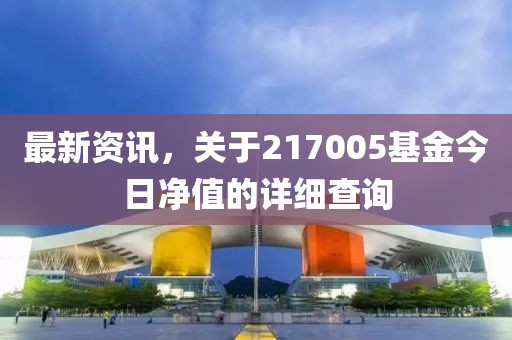 最新資訊，關(guān)于217005基金今日凈值的詳細(xì)查詢