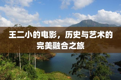 王二小的電影，歷史與藝術(shù)的完美融合之旅