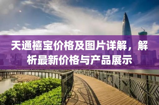 天通禧寶價(jià)格及圖片詳解，解析最新價(jià)格與產(chǎn)品展示
