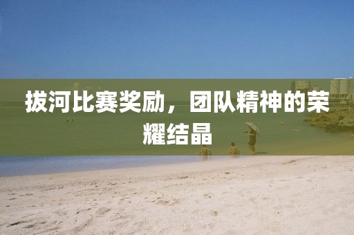 拔河比賽獎(jiǎng)勵(lì)，團(tuán)隊(duì)精神的榮耀結(jié)晶