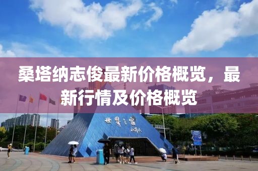 桑塔納志俊最新價格概覽，最新行情及價格概覽