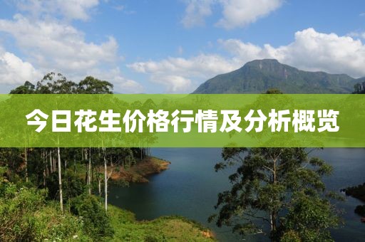 今日花生價格行情及分析概覽