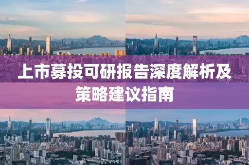 上市募投可研報告深度解析及策略建議指南