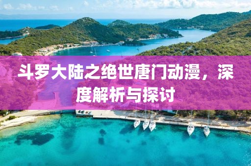 斗羅大陸之絕世唐門(mén)動(dòng)漫，深度解析與探討