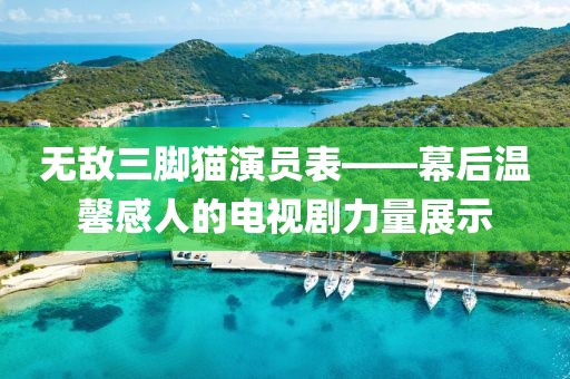 無(wú)敵三腳貓演員表——幕后溫馨感人的電視劇力量展示