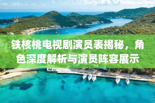 鐵核桃電視劇演員表揭秘，角色深度解析與演員陣容展示