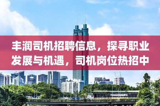 豐潤(rùn)司機(jī)招聘信息，探尋職業(yè)發(fā)展與機(jī)遇，司機(jī)崗位熱招中