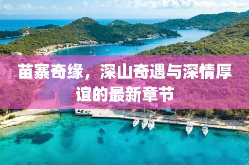 苗寨奇緣，深山奇遇與深情厚誼的最新章節(jié)