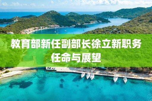 教育部新任副部長(zhǎng)徐立新職務(wù)任命與展望