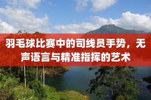 羽毛球比賽中的司線員手勢，無聲語言與精準(zhǔn)指揮的藝術(shù)