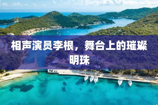 相聲演員李根，舞臺上的璀璨明珠