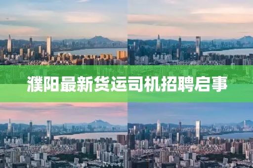 濮陽最新貨運(yùn)司機(jī)招聘啟事