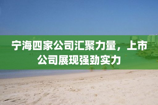 寧海四家公司匯聚力量，上市公司展現(xiàn)強(qiáng)勁實(shí)力