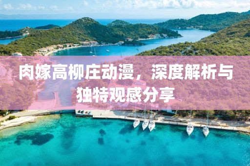 肉嫁高柳莊動(dòng)漫，深度解析與獨(dú)特觀感分享