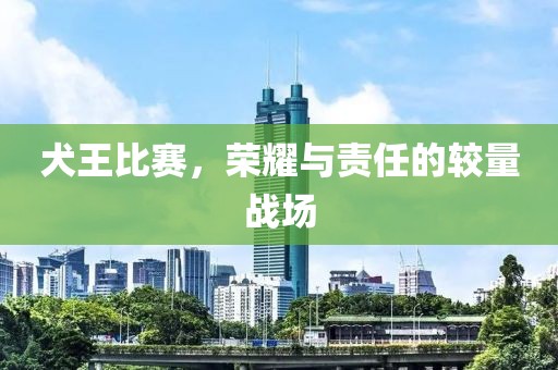 犬王比賽，榮耀與責(zé)任的較量戰(zhàn)場