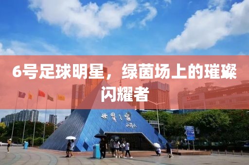 6號足球明星，綠茵場上的璀璨閃耀者