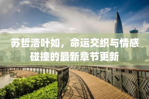 蘇哲浩葉如，命運(yùn)交織與情感碰撞的最新章節(jié)更新