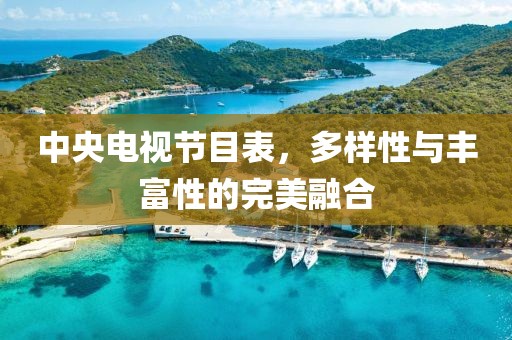 中央電視節(jié)目表，多樣性與豐富性的完美融合