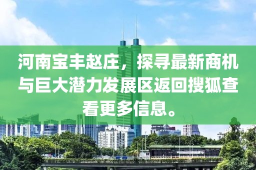 河南寶豐趙莊，探尋最新商機與巨大潛力發(fā)展區(qū)返回搜狐查看更多信息。