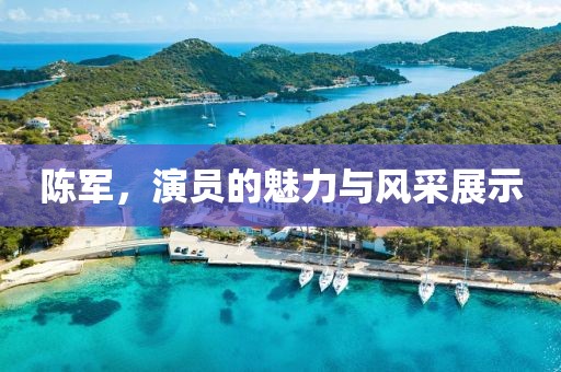 陳軍，演員的魅力與風采展示