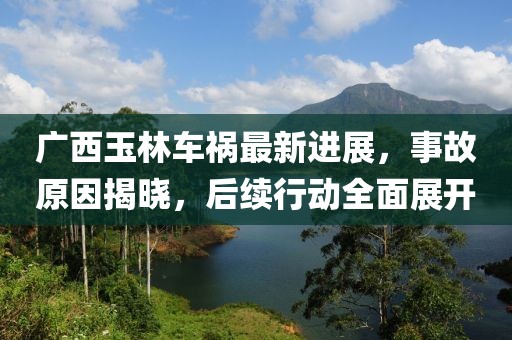 廣西玉林車禍最新進(jìn)展，事故原因揭曉，后續(xù)行動全面展開