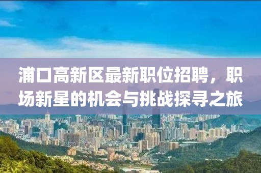 浦口高新區(qū)最新職位招聘，職場新星的機會與挑戰(zhàn)探尋之旅
