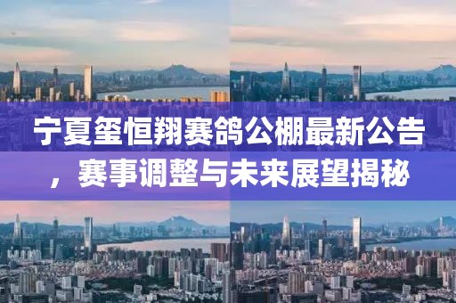 寧夏璽恒翔賽鴿公棚最新公告，賽事調(diào)整與未來展望揭秘