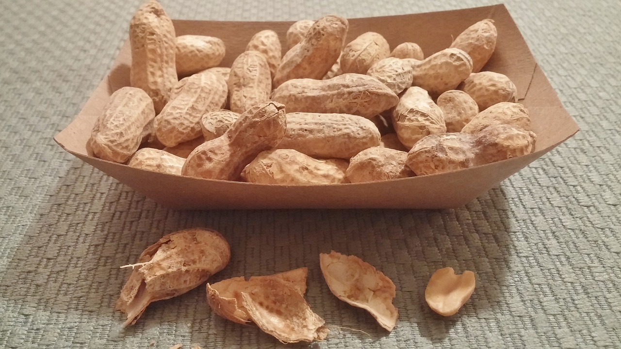 花生最新價(jià)格及動(dòng)態(tài)分析概覽