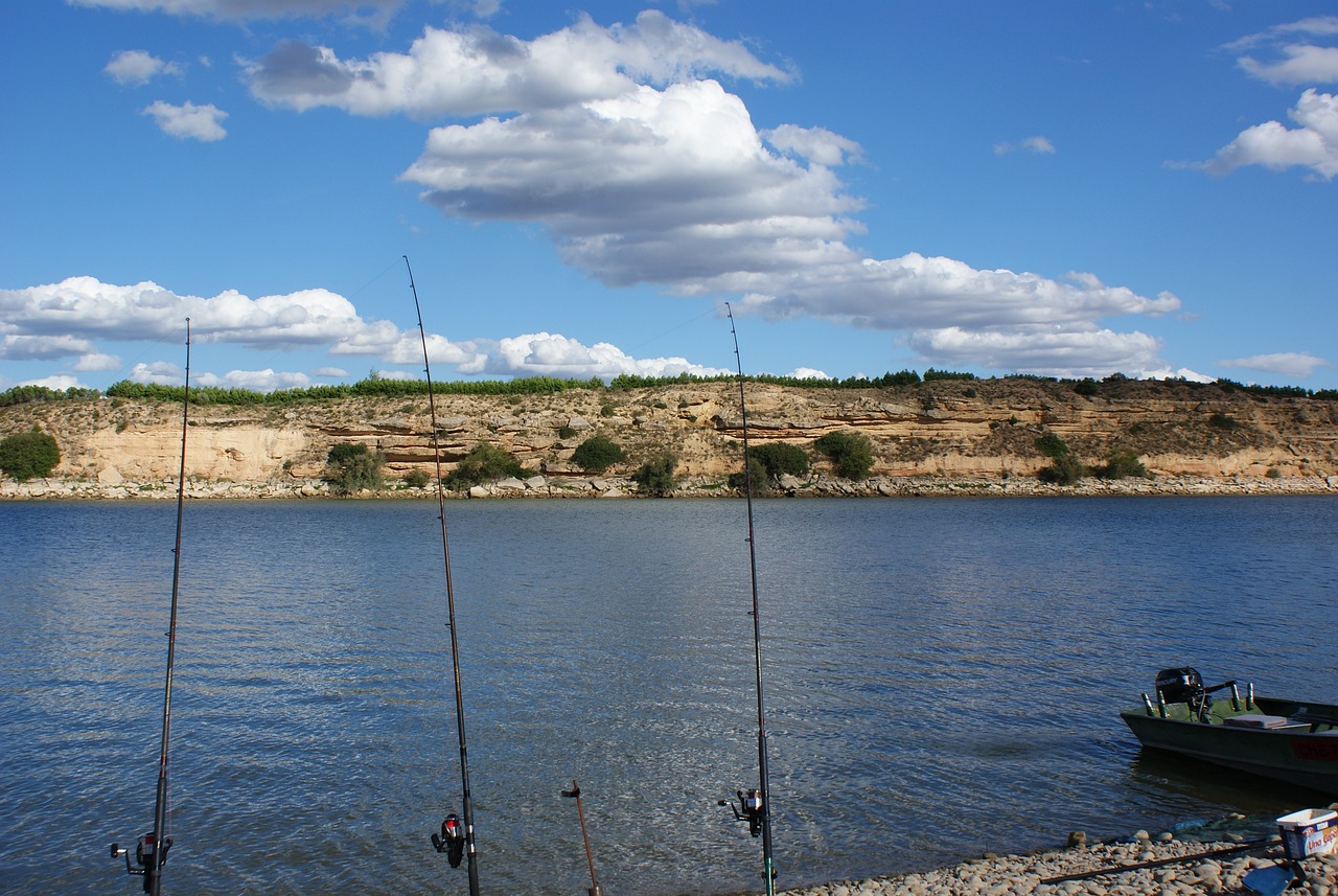 最新釣魚神器，革新釣魚方式，盡享捕魚樂趣新體驗(yàn)