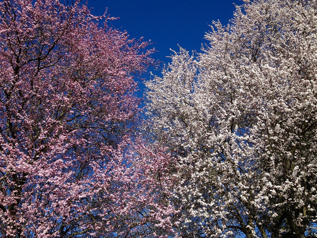 生命、藝術(shù)與情感的深度探索，槿歌何處續(xù)篇章
