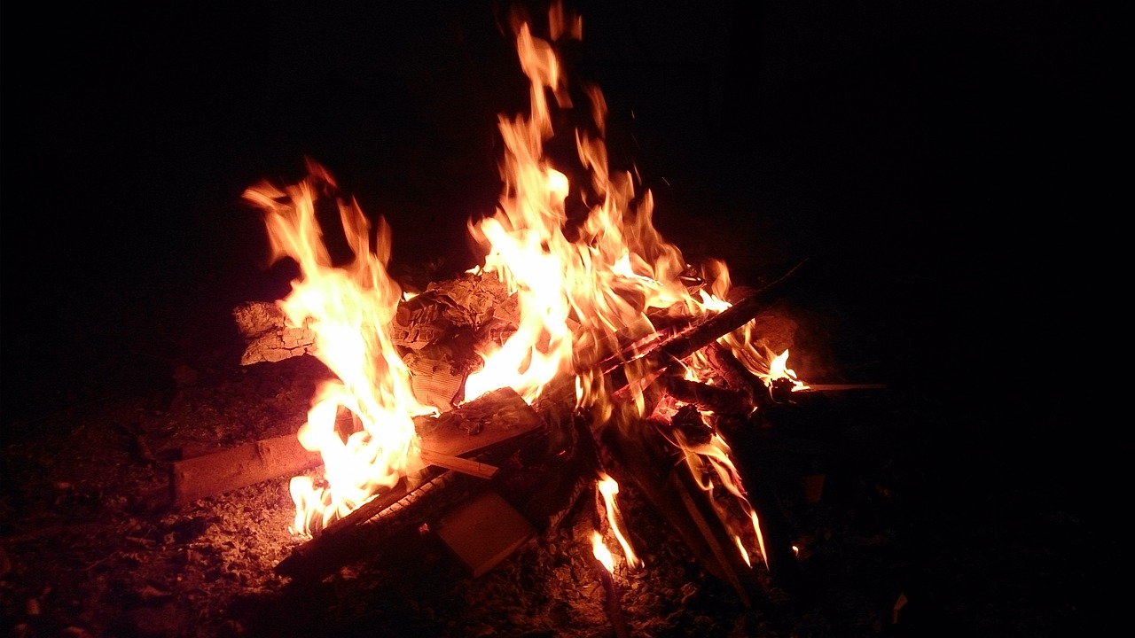 武林風(fēng)新一期賽事，熱血激戰(zhàn)，英雄輩出之夜
