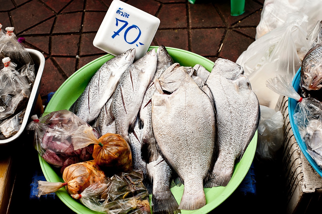 果子貍行情深度分析，市場(chǎng)走勢(shì)與趨勢(shì)預(yù)測(cè)