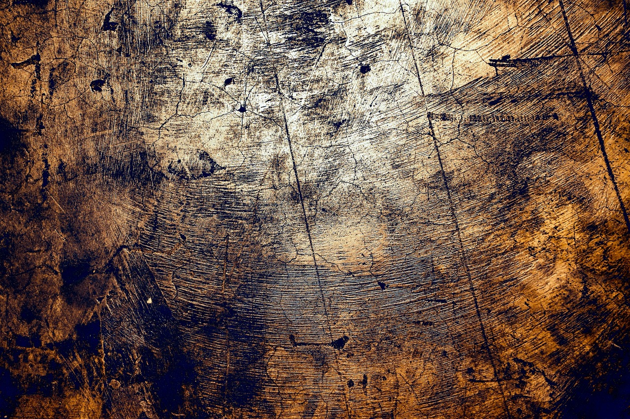 探索蝦產(chǎn)業(yè)新動態(tài)與發(fā)展趨勢，蝦線資訊專題報道