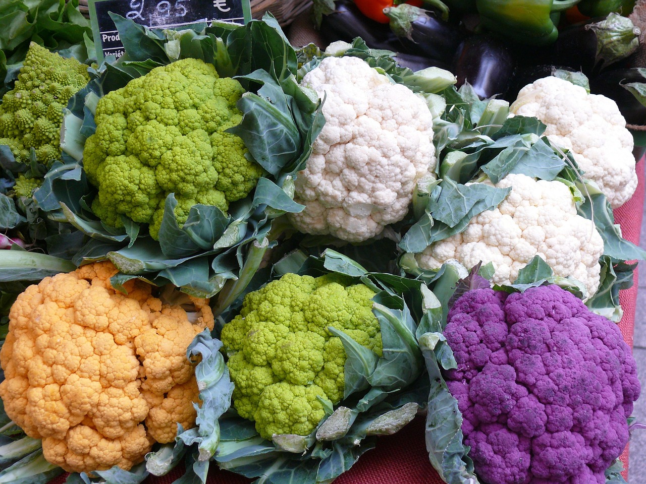 菜花批發(fā)價(jià)格最新行情及分析概覽