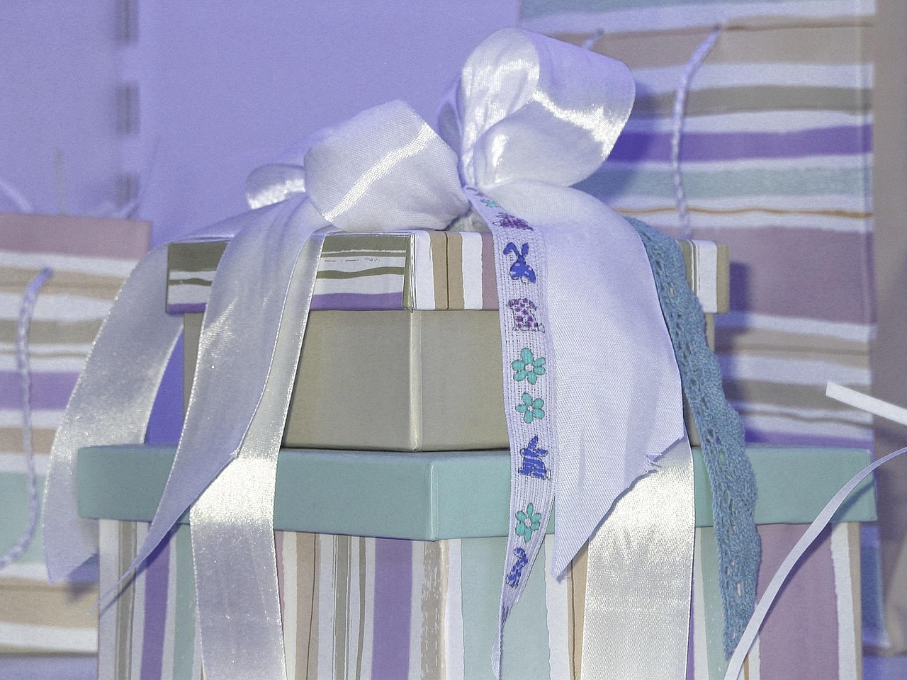 紙店鎮(zhèn)張懷君的最新動態(tài)概況