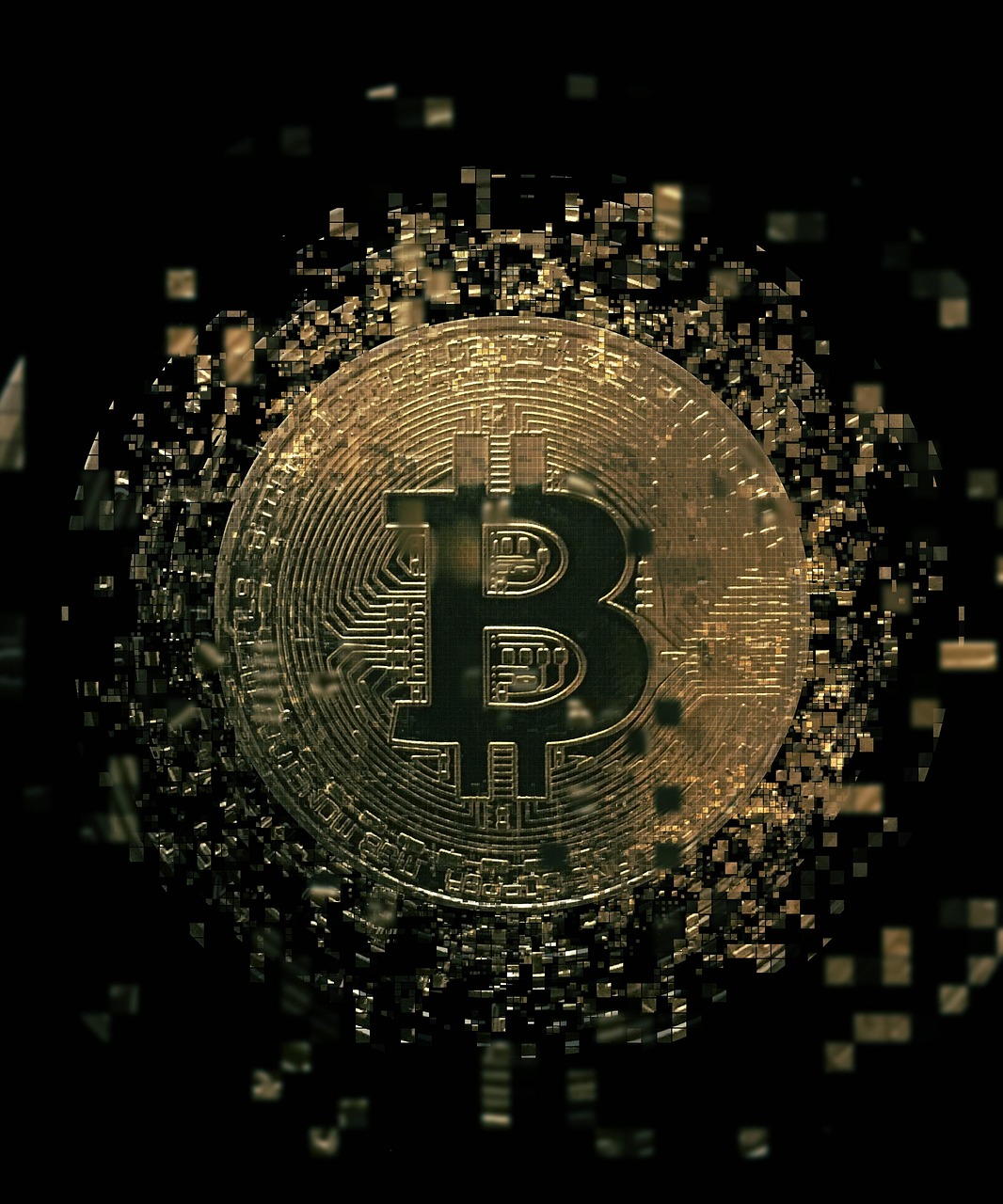一塵網(wǎng)貨幣最新價(jià)格及數(shù)字貨幣市場(chǎng)新動(dòng)態(tài)探索