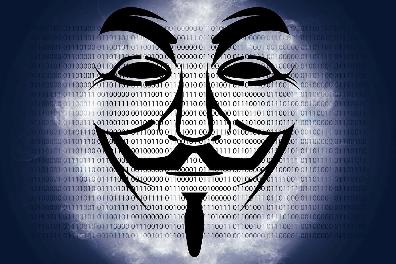 程逢九最新動(dòng)態(tài)，邁向未來的步伐與洞察揭秘