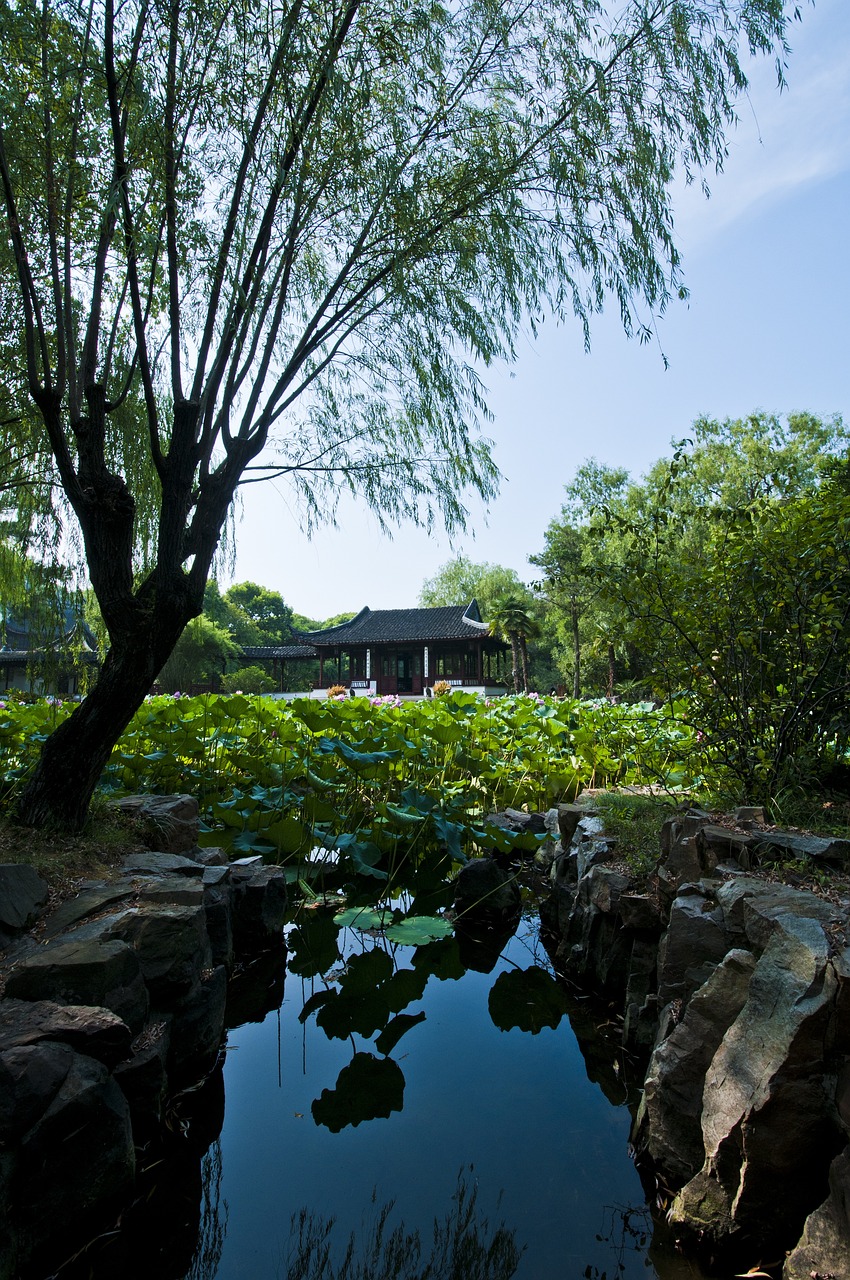 分文茶鐵路最新動(dòng)態(tài)，進(jìn)展、挑戰(zhàn)與未來展望全解析