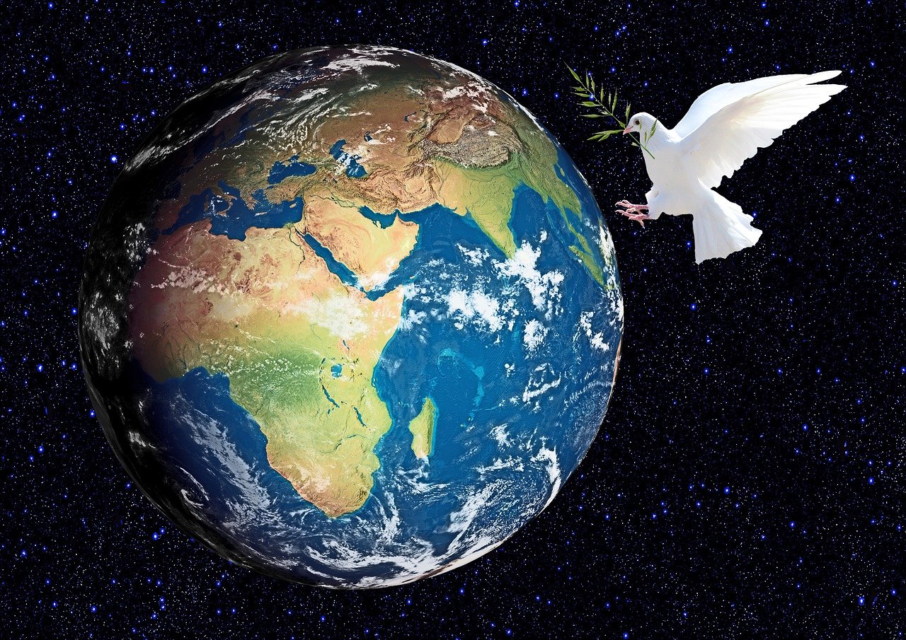閱讀之星比賽，激發(fā)潛能，培育未來之星。