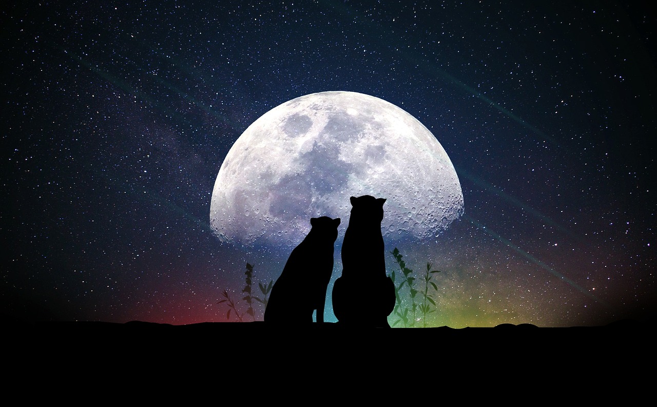 夜線情感新篇章，探索心靈深處的奧秘